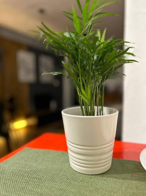Loft Centro Santander Apartment Ngoại thất bức ảnh